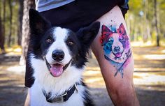 a dog with a tattoo on his leg