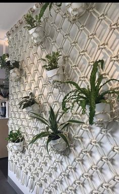 some plants are hanging on the wall in front of a white and black patterned wall