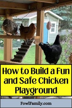 How to Build a Fun and Safe Chicken Playground Chicken Playground Ideas, Chicken Enrichment, Chicken Playground, Raising Chickens For Beginners, Chicken Coop And Run, Coop And Run, Enrichment Projects, Chickens For Beginners, Outdoor Play Structures