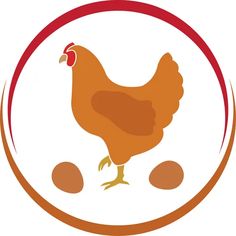 a brown chicken standing on top of two eggs in a red and white circular frame