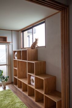 a cat sitting on top of a wooden book shelf next to a window in a living room