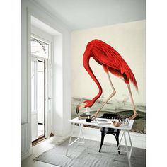 a flamingo standing on top of a table next to a window