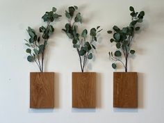 three wooden vases with plants in them are mounted on the wall above a shelf