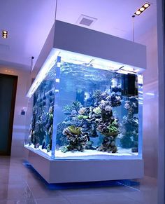 an aquarium is shown in the middle of a room