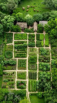 Homesteading for Beginners Homesteading In Alaska, Farming Ideas Agriculture, Urban Restaurant, Homesteading For Beginners, Acre Garden, Farming Ideas, Eco Friendly Diy, Herbs Garden, Backyard Vegetable Gardens