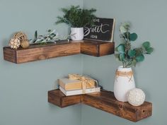 two wooden shelves with plants and books on them