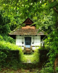 a small white house sitting in the middle of a lush green forest filled with trees