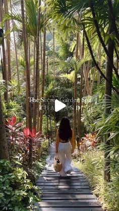 a woman walking down a wooden walkway surrounded by palm trees and other greenery in the background