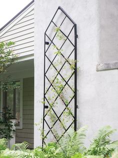 an iron trellis on the side of a house with green plants growing up it