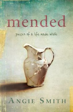 a book with an image of a pitcher on it's cover and the title, mended