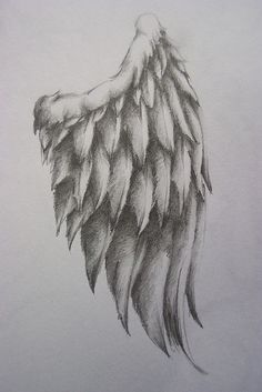 a pencil drawing of an angel's wings