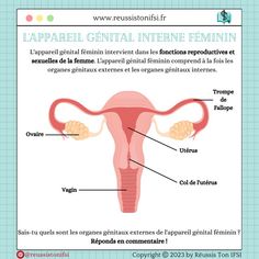 appareil génital interne féminin Studying Math, Nursing Study, Dream Job, Medicine, Science