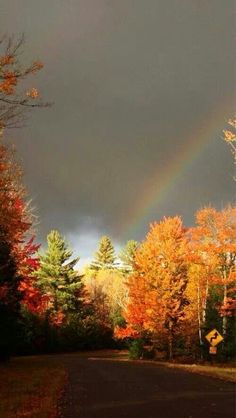 a rainbow is seen in the sky above trees and leaves on either side of a road