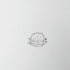 a drawing of a seashell on a white paper