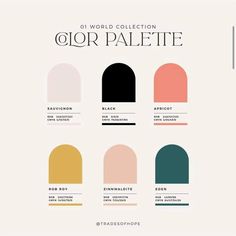 the color palettes for an upcoming fashion line, which includes different colors and shapes