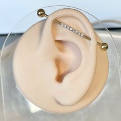 a fake ear is sitting in a clear case