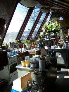 a kitchen filled with lots of clutter next to an oven and counter top covered in potted plants