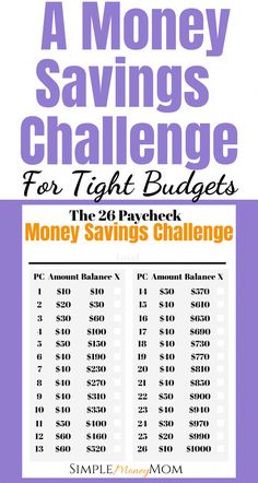 the money savings challenge for tight budget