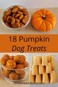 pumpkin dog treats are the perfect treat for fall and halloween, so you can make them at home