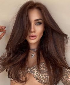 Warm Brown Hair Color, Brown Auburn Hair, Reddish Brown Hair Color, Red Brown Hair Color, Hair Formulas, Unnatural Hair Color, Warm Brown Hair, Chestnut Brown Hair, Chestnut Hair