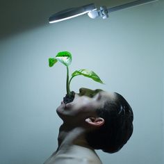 a young man is looking up at a plant growing from his head in the dark