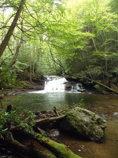 a small waterfall in the middle of a forest