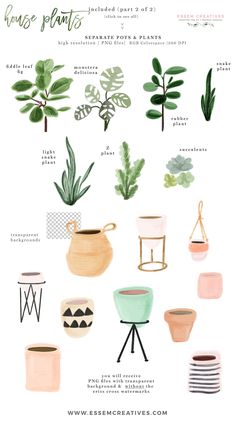 an illustrated guide to house plants and potted plants with text overlaying them