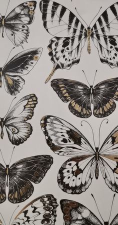 a bunch of butterflies that are on a white surface with black and gold designs in the middle