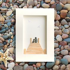 two birds are sitting on a dock surrounded by rocks and seagulls, with a starfish in the foreground