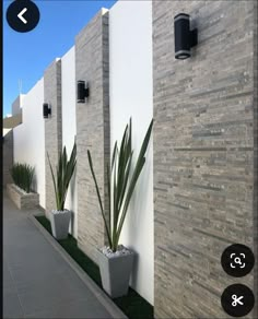 two large planters are next to a white wall and some grass on the sidewalk