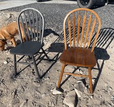 two chairs and a dog are sitting on the ground