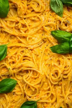 pasta with basil leaves and cheese on top