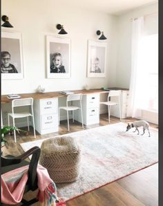 a living room with two pictures on the wall and a cat walking in front of it