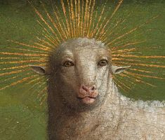 a close up of a sheep with gold splatters on it's head