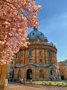 people are walking in front of an old building with pink flowers on the tree branches