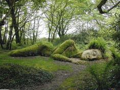 moss covered rocks and trees in the middle of a path through an area filled with green grass