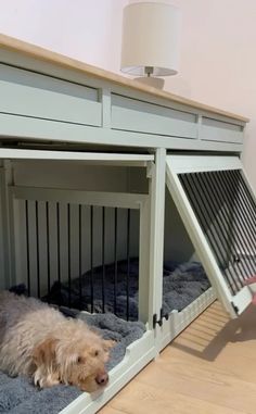 a dog laying in its kennel with the door open and his head sticking out