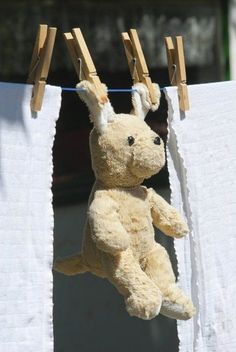 a brown teddy bear hanging from clothes line