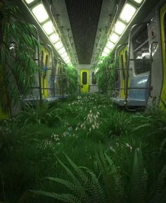 the interior of an abandoned train with plants growing inside