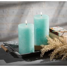 two teal candles sitting on top of a tray next to some books and plants