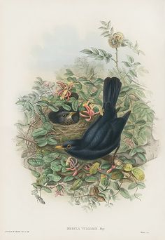 two birds sitting on top of a nest in the middle of some leaves and flowers