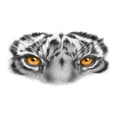 In naturethe tiger is the top predator in its environmentA tiger tattoo can represent a free spirit or independence and strengthThis wonderful tiger eyes temporary tattoo will look great on your arm/forearmSizeH 4X L 8(approxSuper realistic temporary tattoosProfessional temporary tattoos used in movie industryTry outsee the difference in qualitySafe and non-toxicLasts between 310 days100handmade and hand cut How to Apply Remove the plastic foilpress tattoo gently on your skin and cover the pape Tattoo Bicep, Owl Eye Tattoo, White Tiger Tattoo, Tiger Face Tattoo, Lion Eyes, Butterfly Eyes