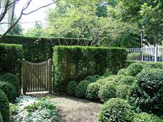 a wooden gate surrounded by bushes and trees