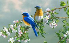 two birds sitting on top of a tree branch next to white and blue flowers with clouds in the background