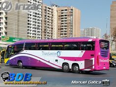 a pink and white bus parked in front of tall buildings