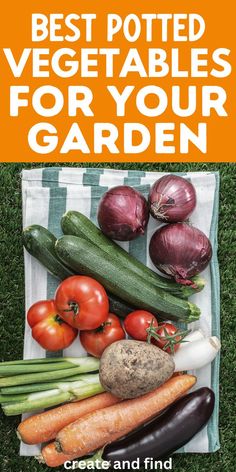 Collage of vegetables to grow in pots for a spring garden. Vegetables In Buckets, Vegetables To Grow, Garden Labels, Garden Vegetables