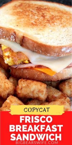 a close up of a sandwich with tater tots