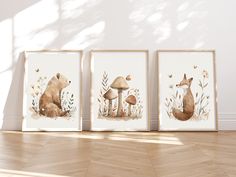 three framed pictures of animals and mushrooms on a wall in a room with hard wood flooring