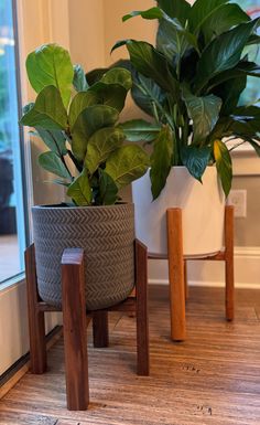 two potted plants sitting next to each other on top of a hard wood floor