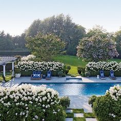 an outdoor swimming pool surrounded by white flowers